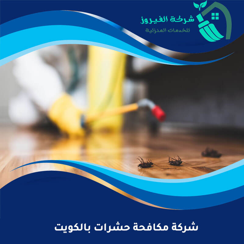شركة مكافحة حشرات بالكويت