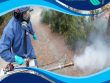 شركة مكافحة العتة بالكويت