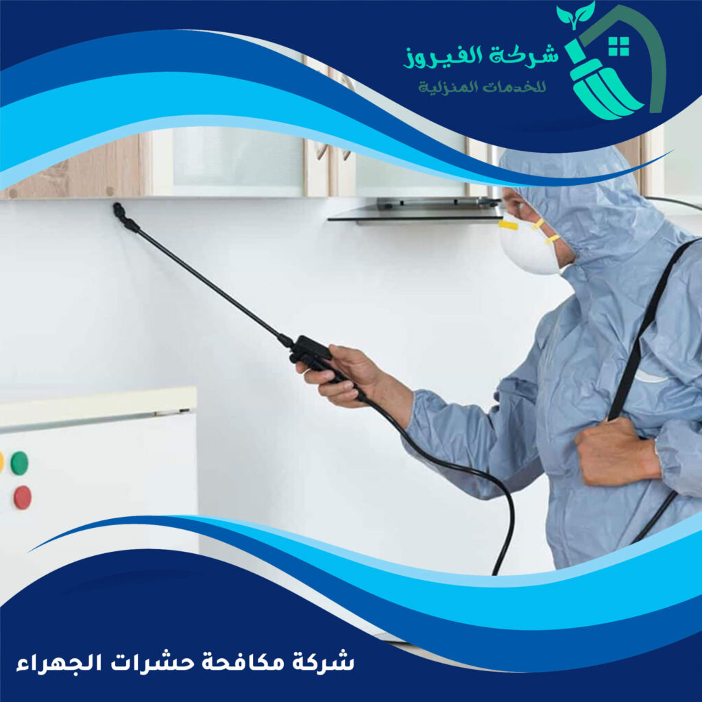 شركة مكافحة حشرات الجهراء