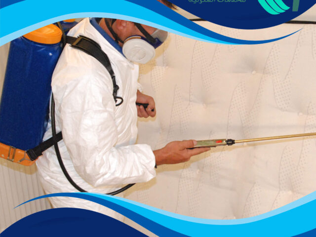 شركة مكافحة حشرات الرميثية