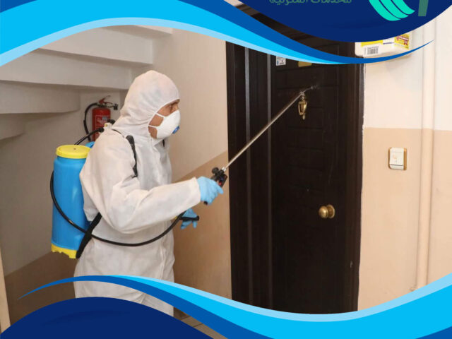 شركة مكافحة حشرات السرة