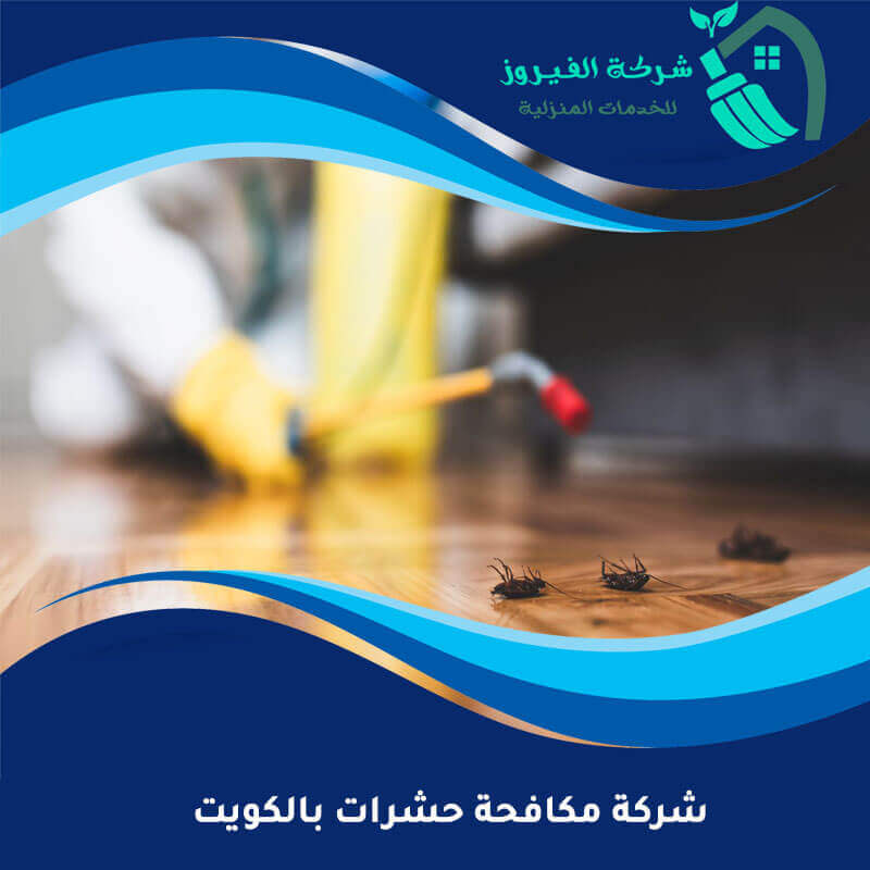 مكافحة حشرات الكويت: حلول فعالة ونصائح مهمة