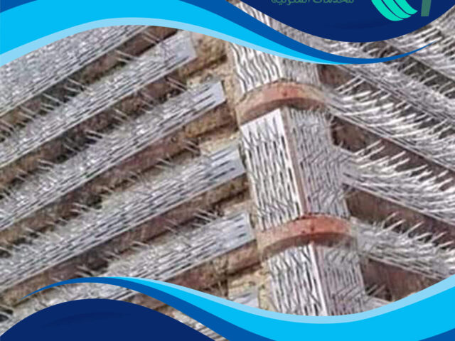 شركة مكافحة الحمام بالكويت
