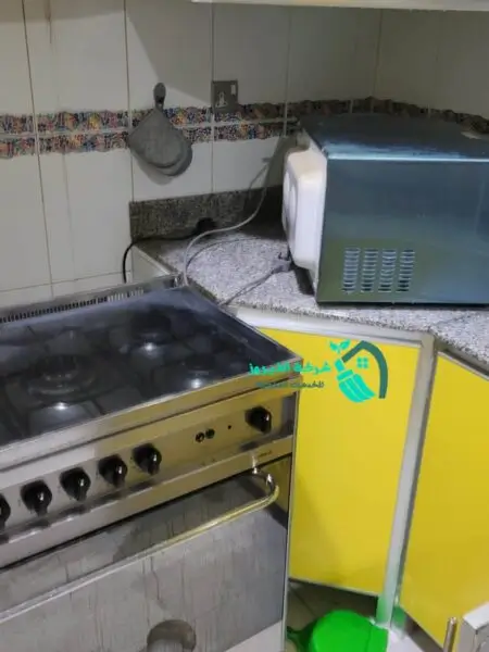 افضل شركة رش حشرات