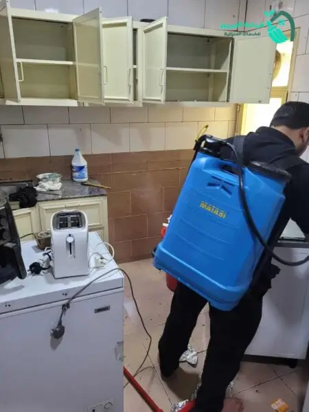 القضاء علي الحشرات