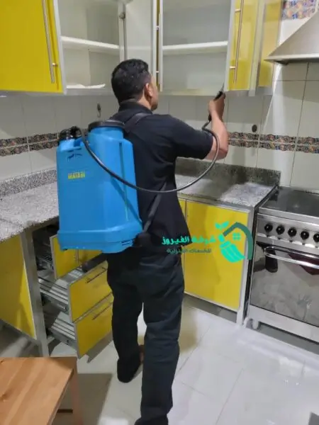 مكافحة الصراصير الصغيرة في المطبخ