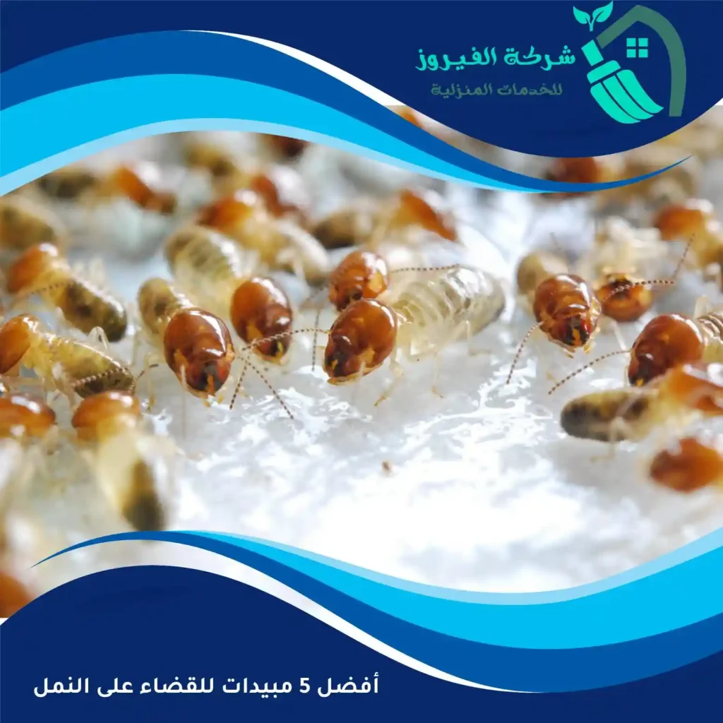 أفضل-5-مبيدات-للقضاء-على-النمل