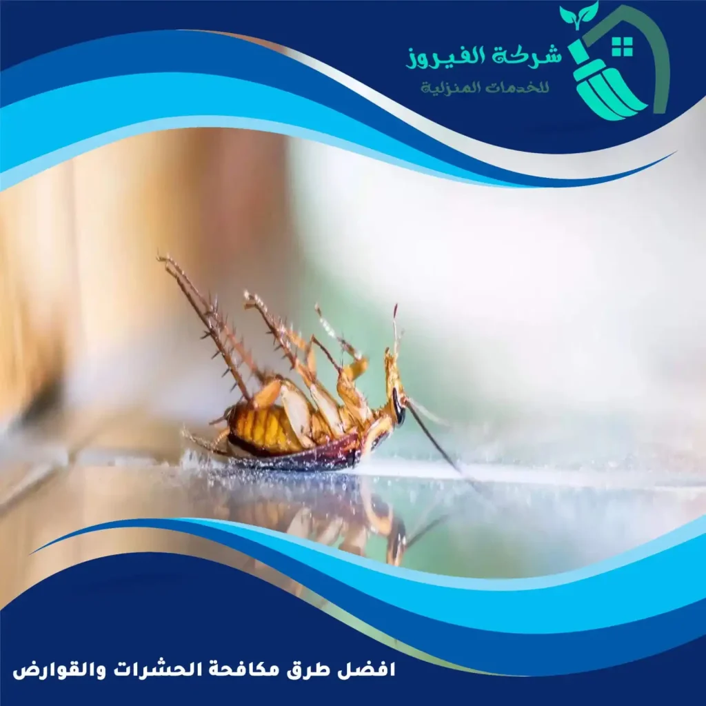 افضل-طرق-مكافحة-الحشرات-والقوارض