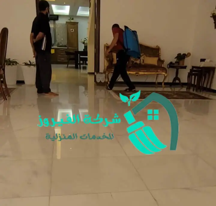 رش مبيد الحشرات