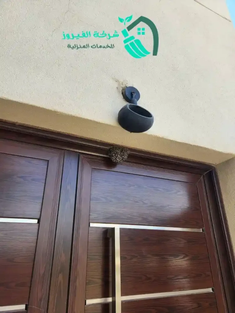 شركة-مكافحة-النحل