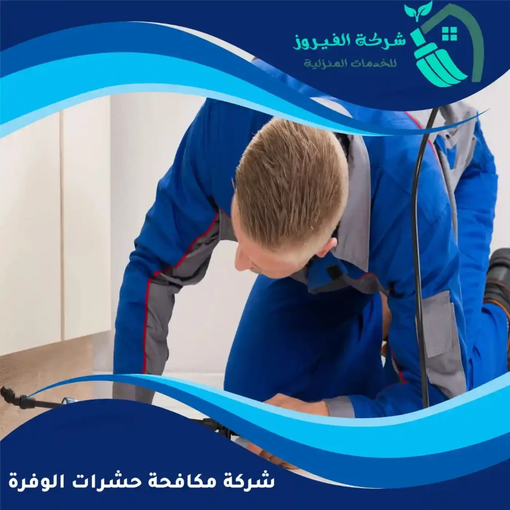 شركة-مكافحة-حشرات-الوفرة