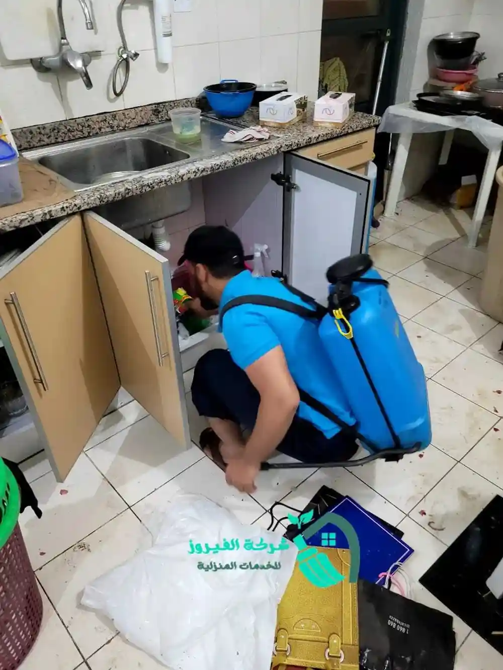 مكافحة-الحشرات-في-المنزل