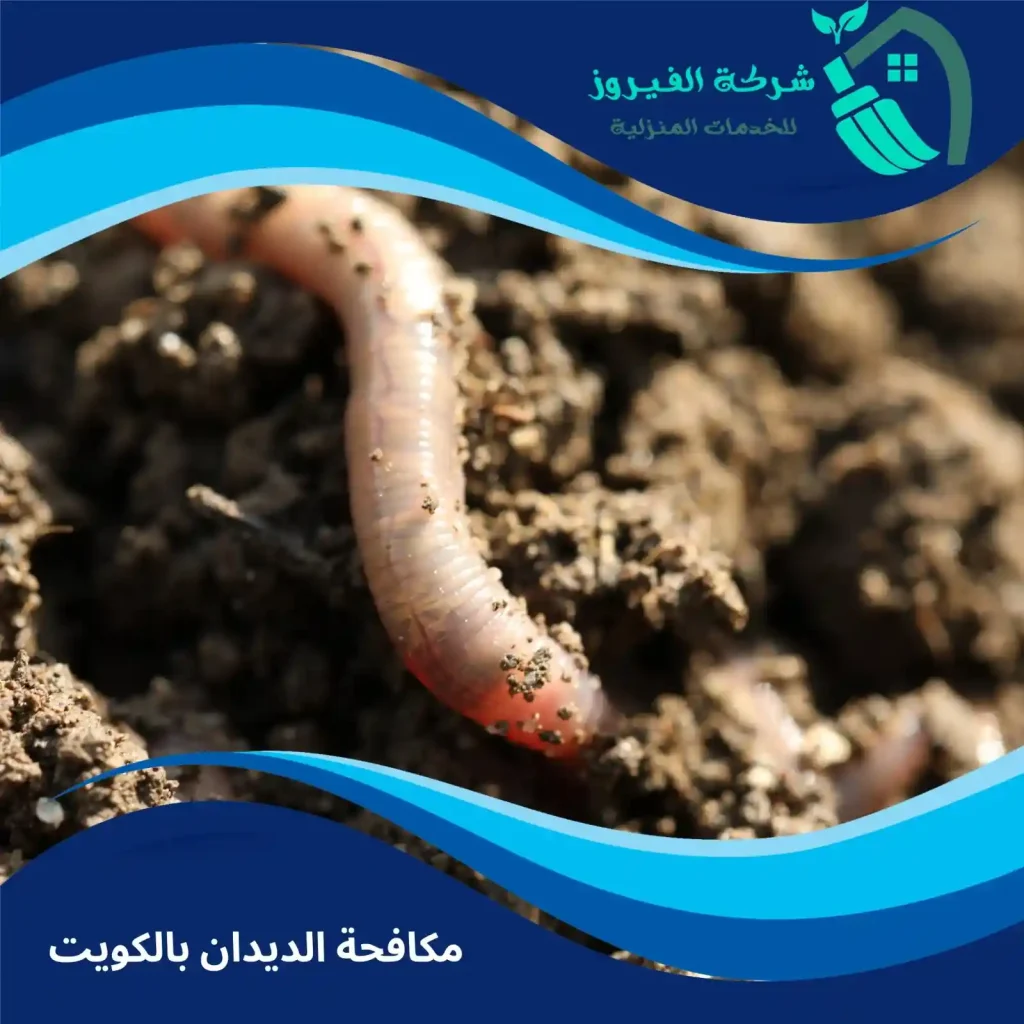 مكافحة-الديدان-بالكويت