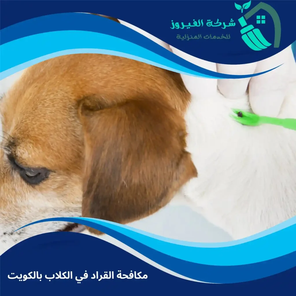 مكافحة-القراد-في-الكلاب-بالكويت