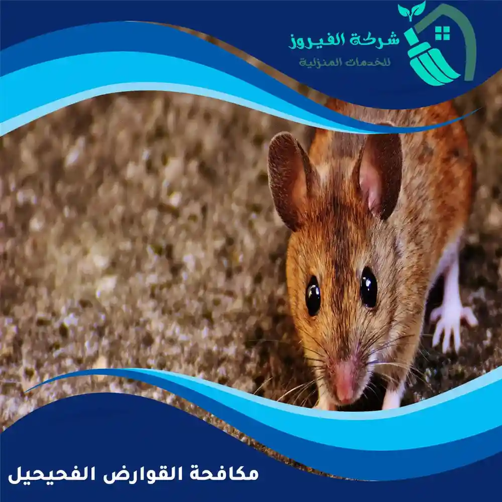 مكافحة-القوارض-الفحيحيل