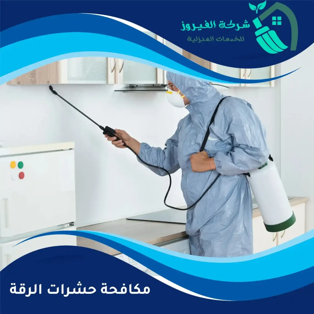 مكافحة-حشرات-الرقة