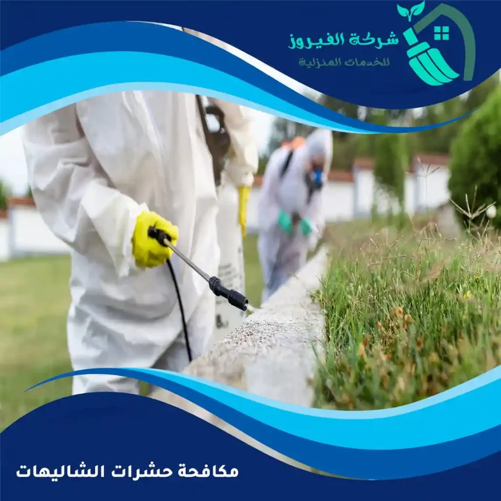مكافحة-حشرات-الشاليهات