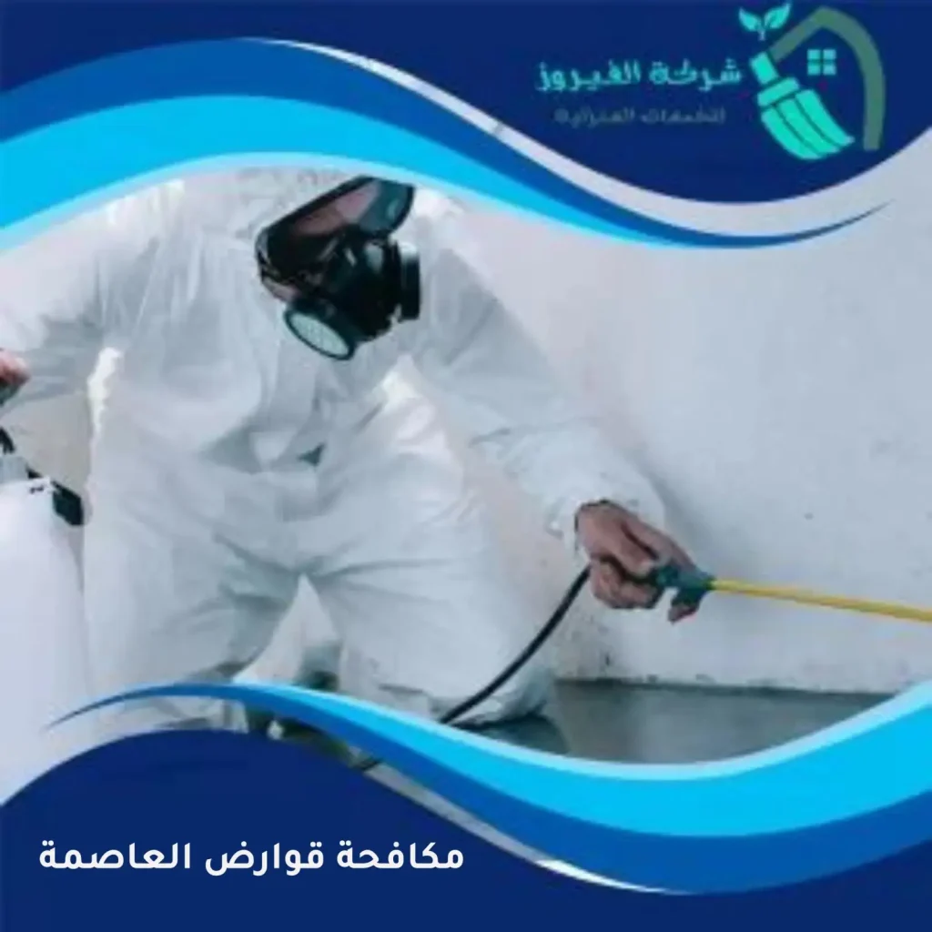 مكافحة-قوارض-العاصمة