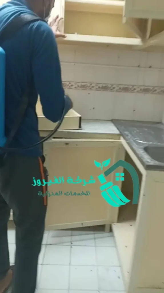 رش الحشرات